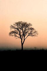 Minimalist nature landscape featuring a dark silhouette of a tree or mountain against a soft pastel gradient sky. Flat or semi-realistic style with a calm, peaceful mood. Created with generated AI