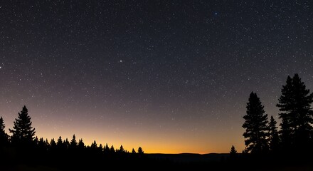 Fototapeta premium Starry Night Sky over Forest