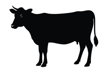 silhouette of a cow