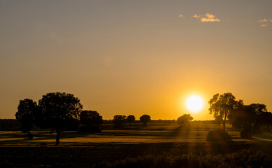 atardecer en el campo