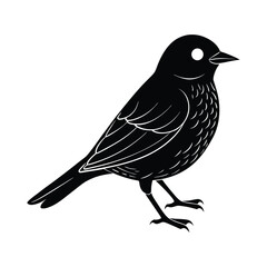 eastern blue bird silhouette art illustration