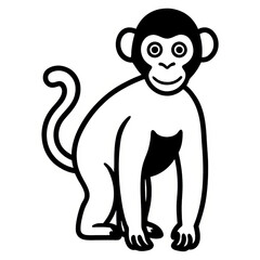 Fototapeta premium The monkey