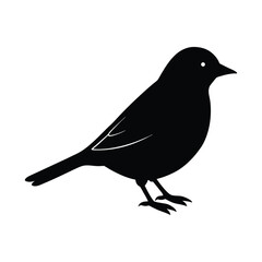 painted bunting bird silhouette art illustration