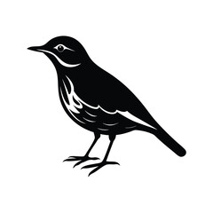northern waterthrush bird silhouette art illustration
