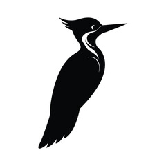 pileated woodpecker bird silhouette art illustration