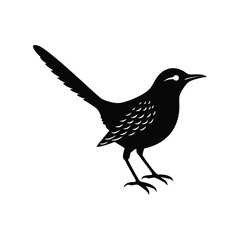 cactus wren bird silhouette art illustration on white background