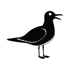 laughing gull bird silhouette art illustration