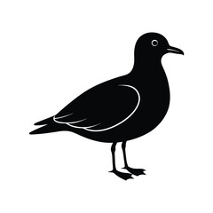 ivory gull bird silhouette art illustration