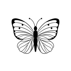 Beautiful, graphic hand drawn illustration, white butterfly with spread wings. Country life concept, vintage rustic charm, good for invitation, card, poster, t shirt, sticker, social net.
