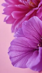 Close-up of delicate purple petals contrasting with a blurred pink surface ,  texture,  purple,  blurred