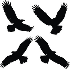 Black Silhouettes of Flying Ravens and Crows – Minimalist Vector Illustration Featuring Spread Wings, High Contrast Bird Flight Poses, Corvid Species, and Nature-Inspired Graphic Design