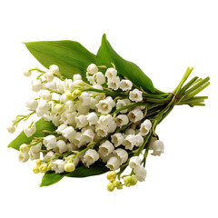 Obraz premium Vibrant Organic Lily of the Valley Flower Arrangement