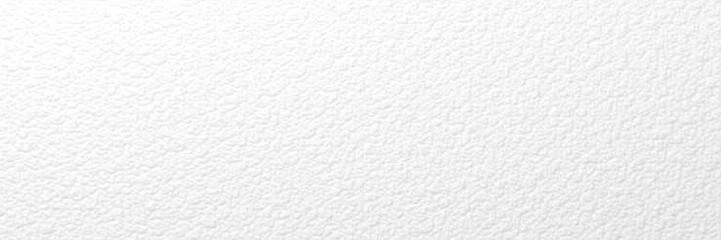 Smooth, unblemished white leather; fine grain, subtle texture, minimal, luxury