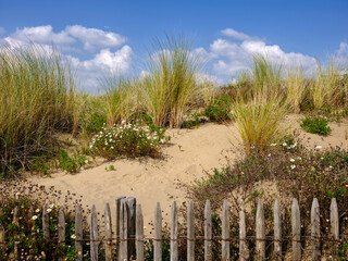 Dune protected by a wooden barrier at Saint Brevin les Pins in Pays de la Loire region in western France