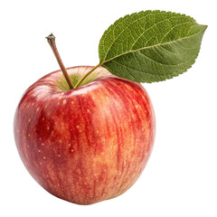 apple isolated on white background