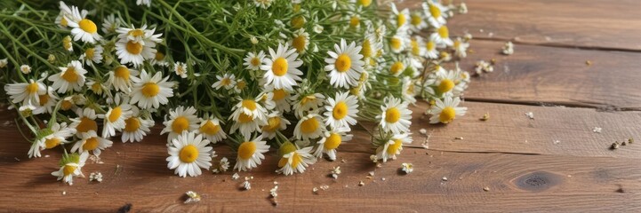Obraz premium Several chamomile sprigs on wooden surface, surrounded by fresh chamomile flowers, photo, texture, nature