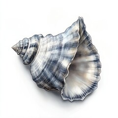 Detailed close-up of a sea shell, featuring a cone-shaped spiral, with intricate gray and white patterns.  The shell's opening is wide and flared, exhibiting delicate, ridged structures