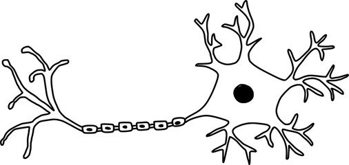 neuron structure diagram outline hand drawn