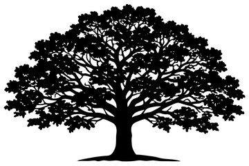 Fototapeta premium Classic Black Oak Tree Vector
