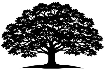 Obraz premium Classic Black Oak Tree Vector