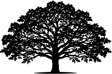 Obraz premium Classic Black Oak Tree Vector