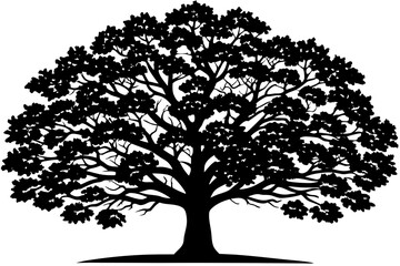 Classic Black Oak Tree Vector