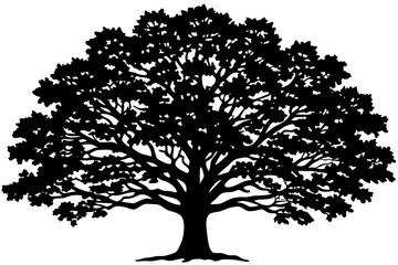 Obraz premium Classic Black Oak Tree Vector