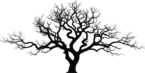 Twisted Bare Tree Silhouette