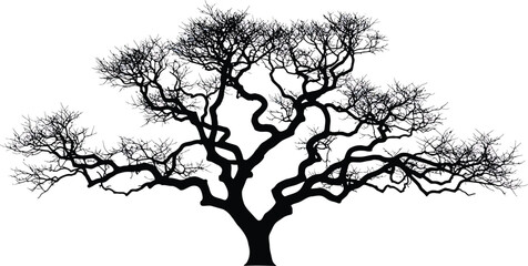 Twisted Bare Tree Silhouette
