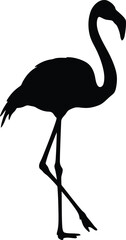 Flamingo Silhouette, Black and White Vector Illustration
