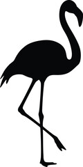 Flamingo Silhouette, Black and White Vector