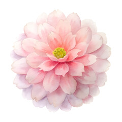 Fototapeta premium watercolor pink dahlia isolated on white background