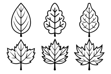 Stylized Tree in Fall Vector