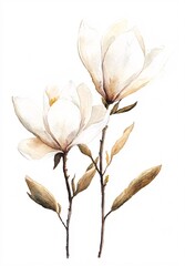 Minimalist Artwork with Two White Magnolias and Touches of Gold Brush Strokes