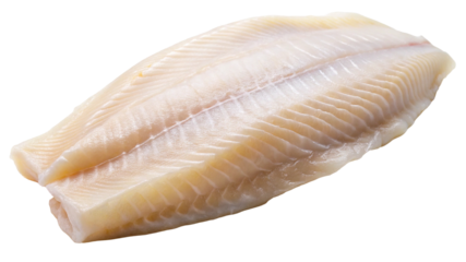 A Clean and Fresh Piece of Filleted Sole Fish Isolated on Black