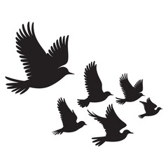 Obraz premium Flying birds silhouettes on white background. Vector illustration, 