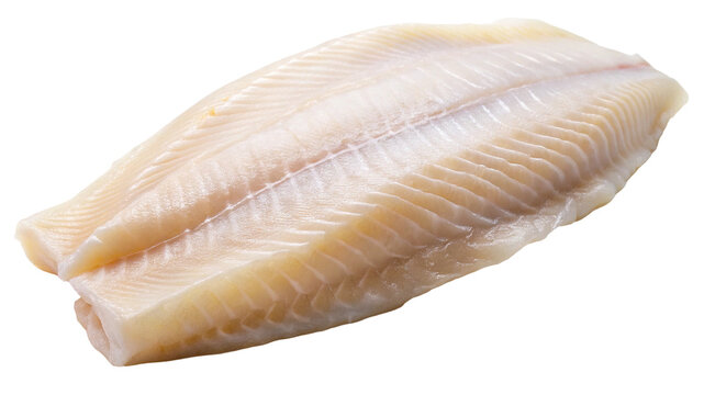 A Clean and Fresh Piece of Filleted Sole Fish Isolated on Black