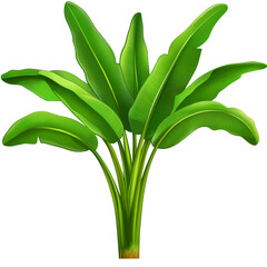 Obraz premium Bright green tropical plant with large leaves in full view