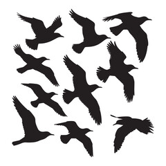 Fototapeta premium Flying birds silhouettes on white background. Vector illustration, 