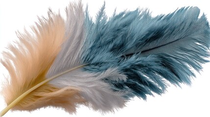 A single, colorful ostrich feather.  Soft, fluffy, and intricately layered in shades of beige, gray, and teal
