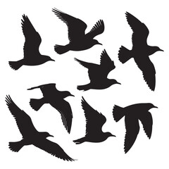 Obraz premium Flying birds silhouettes on white background. Vector illustration, 
