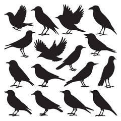 Obraz premium Flying birds silhouettes on white background. Vector illustration, 