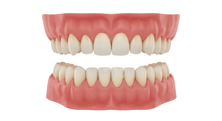 Isolated Dentures