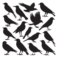 Obraz premium Flying birds silhouettes on white background. Vector illustration, 