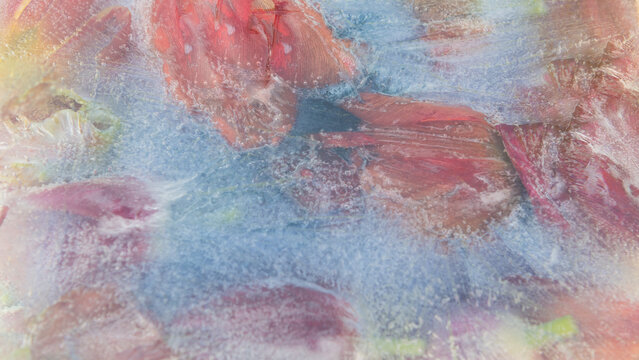 abstract photo of red and pink tulip flowers frozen in ice giving the impression of watercolor painting background