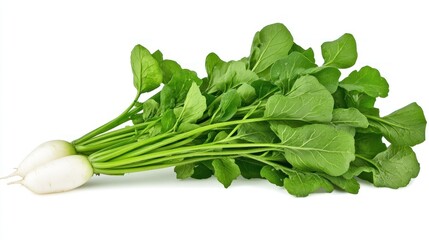 Fresh White Radishes with Lush Green Tops, Isolated on White Background