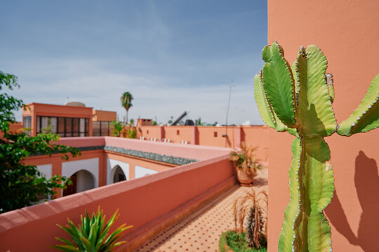 A rooftop terrace with terracotta walls and a cactus plant in the foreground, under a clear blue sky.