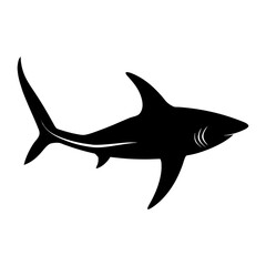 Thresher Shark Silhouette with Long Tail Graphic