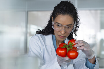 Female Scientist Investigating Tomato Quality in 
