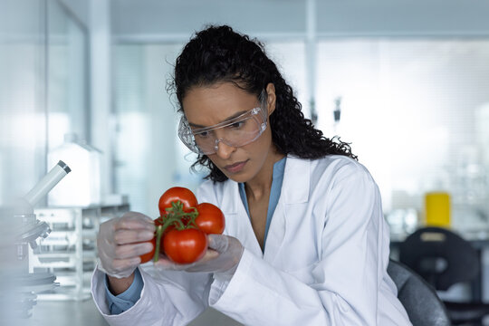 Researcher Analyzing Tomato Samples with Precision